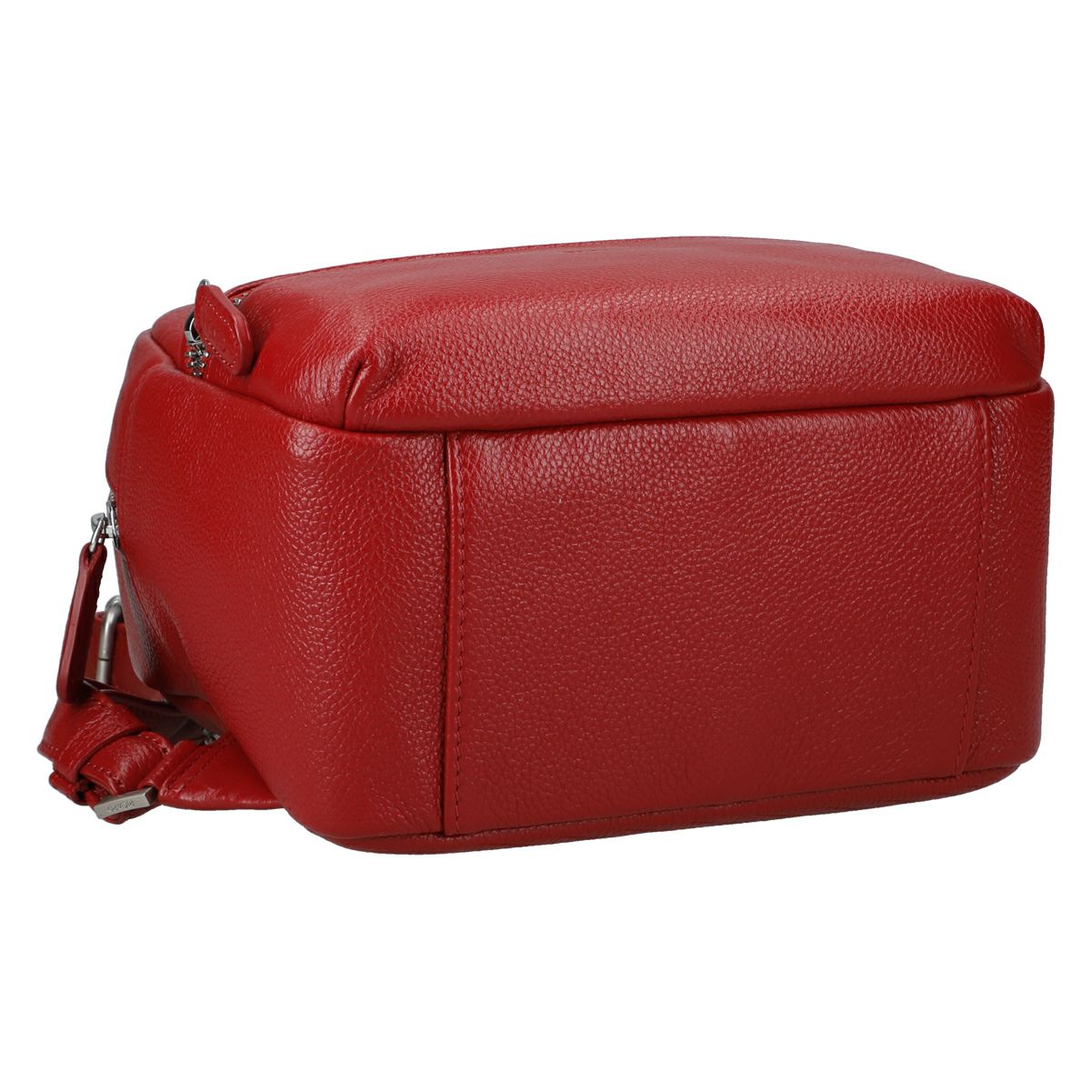 Carla＜カルラ＞