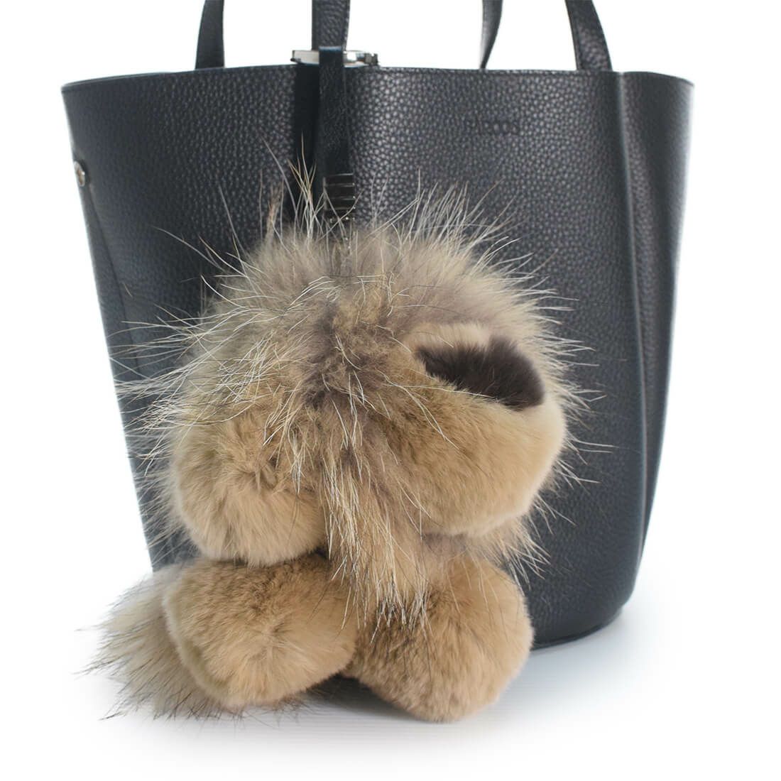 アニマルチャーム ライオン